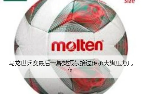 马龙世乒赛最后一舞樊振东接过传承大旗压力几何