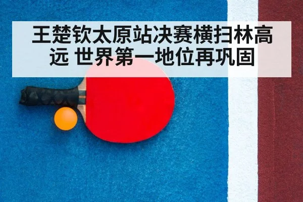 table tennis racket close up